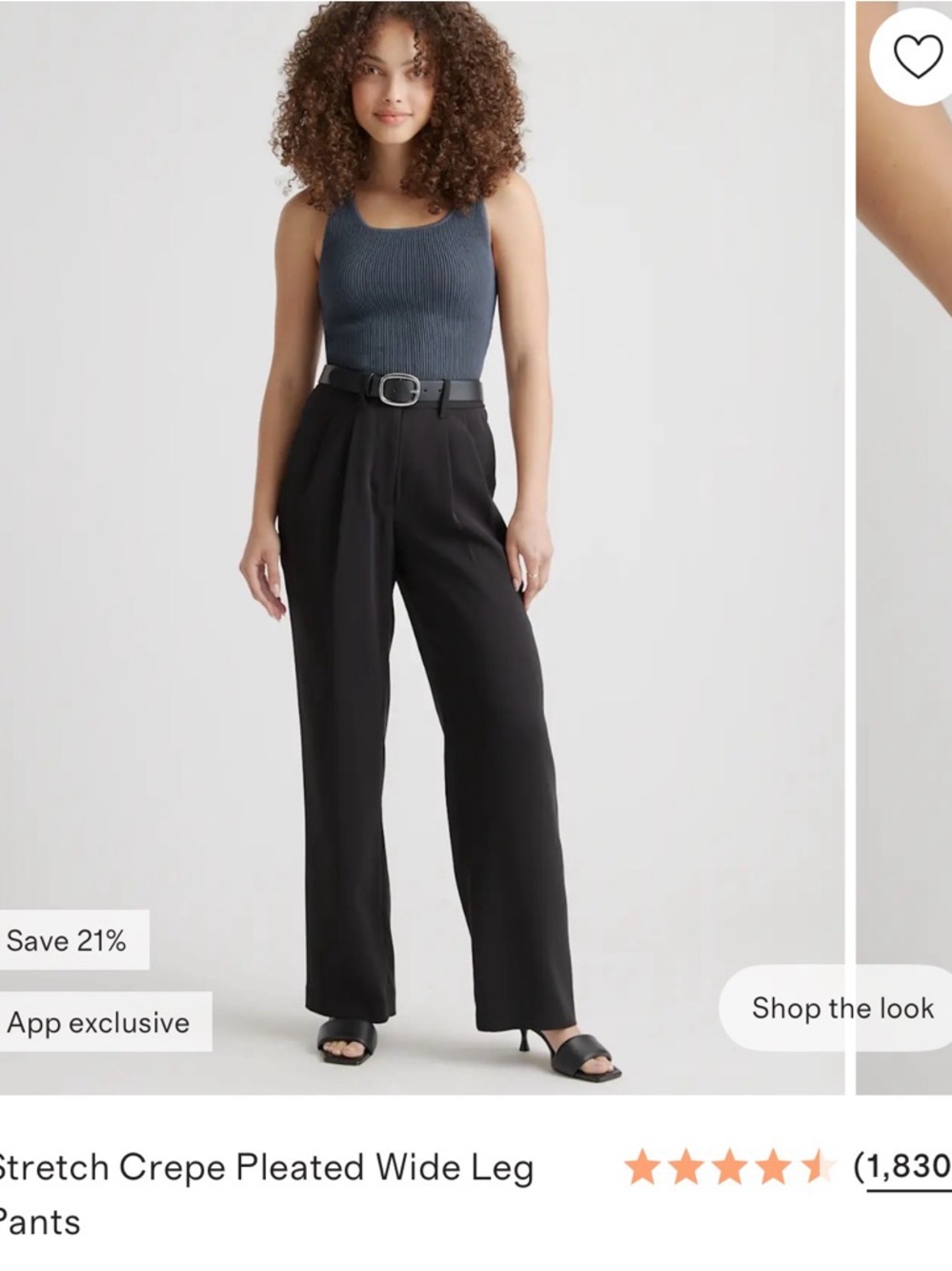 NWT - Quince Stretch Crepe Pleated Wide-Leg Pants - Black